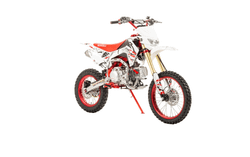Мотоцикл MOTOLAND CRF19 PITBIKE