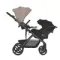 Коляска ANEX Modu 2 в 1 Rooty