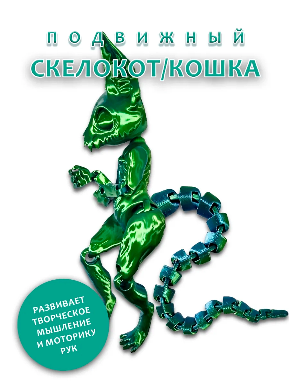 Скелет Кошки