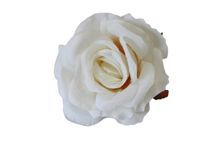 Роза флористическая