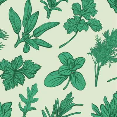 Итальянские травы и специи. Травы прованса. Ботаника