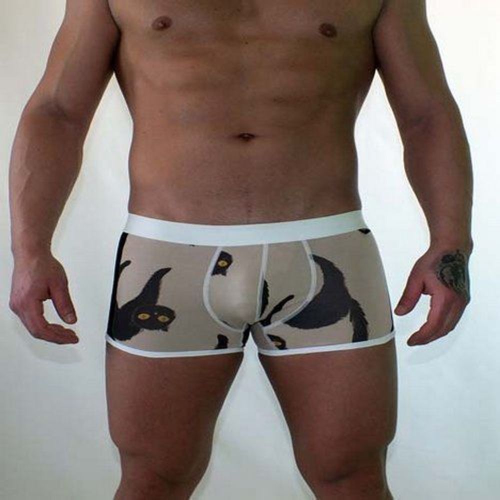 Трусы мужские боксеры серые &quot;коты&quot; Van Baam VB-38107