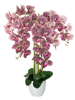 Искусственные Орхидеи 5 веток вишневые 75см в белом кашпо