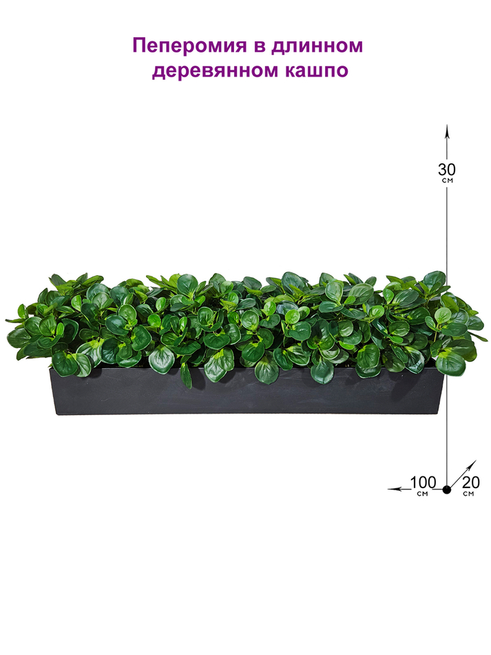 Пеперомия искусственная 100см в черном длинном кашпо