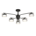 Потолочная люстра Lumion NATALINA 8349/6C