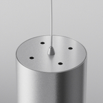 Подвесной светильник Maytoni Polar P088PL-GX53-S