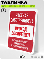 Табличка для частной территории "Частная собственность, проход воспрещен", на дом, для участка, организаций, предупреждающая, 40х30 см, Silver Plane x Айдентика Технолоджи