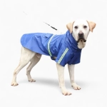 Дождевик «Big city»