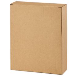 НАБОР БЛЮД СЕРВИРОВОЧНЫХ КОЛЛЕКЦИЯ "PINE CONES", 2 ШТ. / 20,2*16*2 СМ