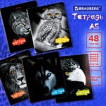 Тетрадь А5 48 л. BRAUBERG скоба клетка выборочный лак "Wild eyes" (микс в спайке) (20 штук в упаковке)