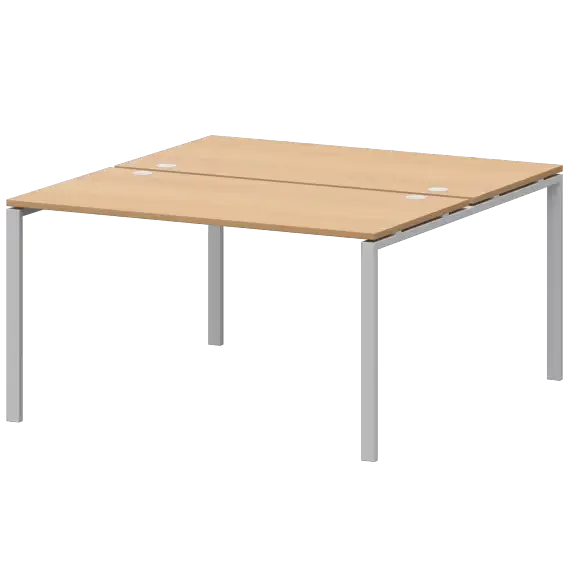 Бенч двойной на 2 рабочих места АМБ-004.60  1600x1236x760 Арго-М