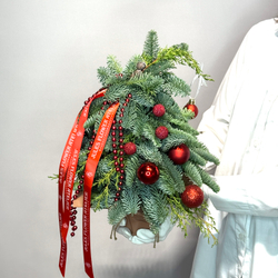 «Хвойное заклинание» композиция с елью Нобилис на Новый год