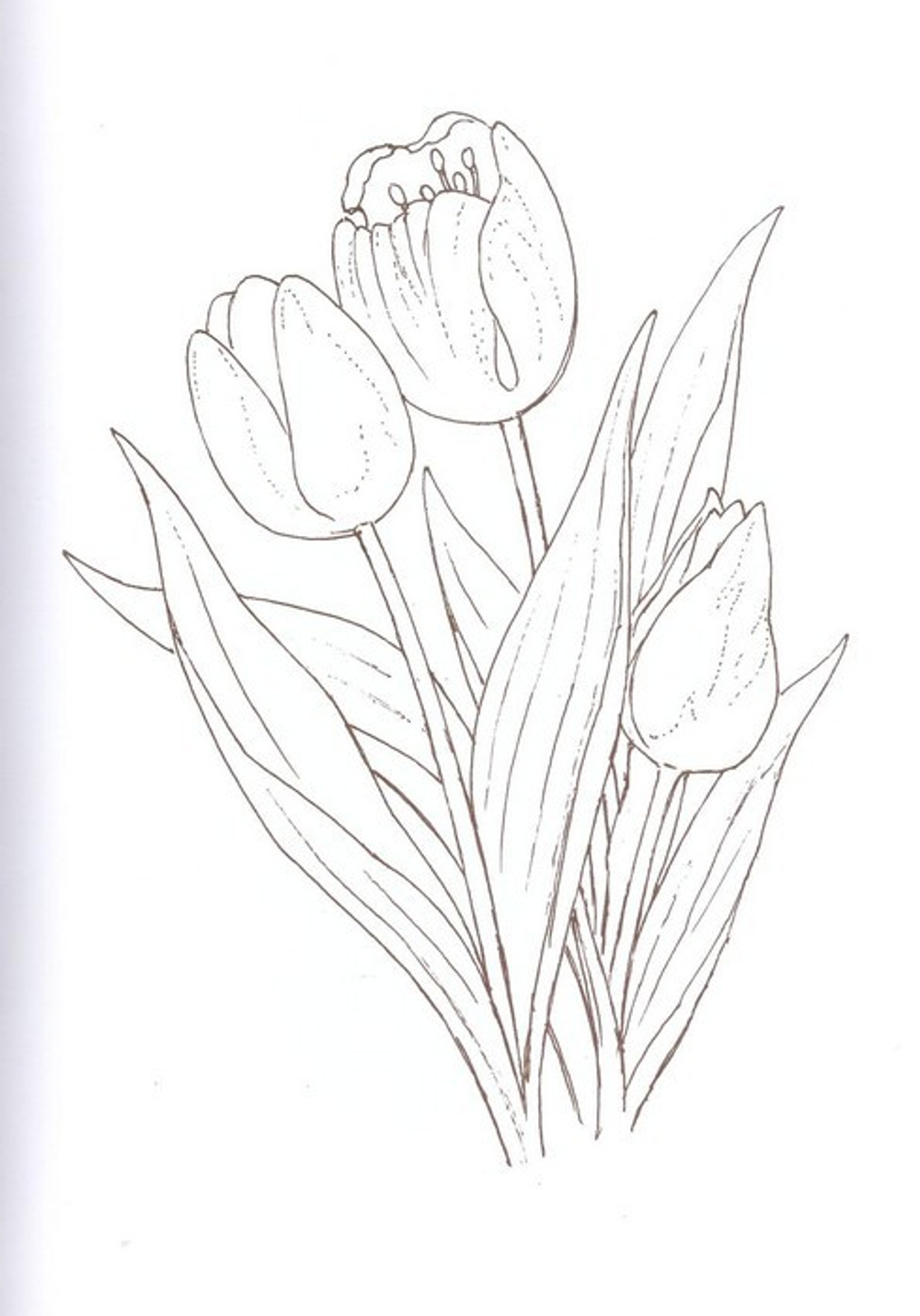 Альбом для раскрашивания полноцветный. Раскраски