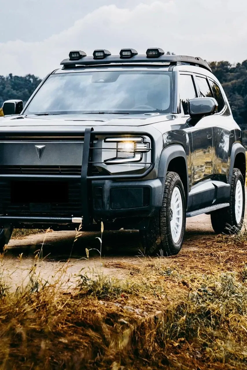 Дуга переднего бампера для Changan Deepal G318 2024+ Чанган кенгурятник