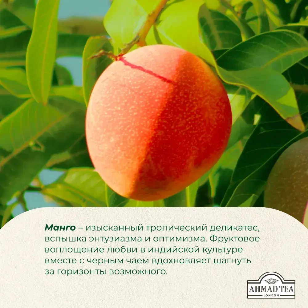 Чай в пакетиках Ahmad Tea Mango Magic, 25 шт
