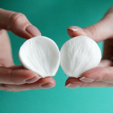 Вайнер  лепесток Ранункулюса универсальный