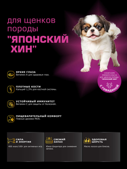 Корм сухой для щенков породы Японский хин, с говядиной, 800 гр, QUATTRO