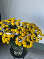 Хризантема в желтом оттенке