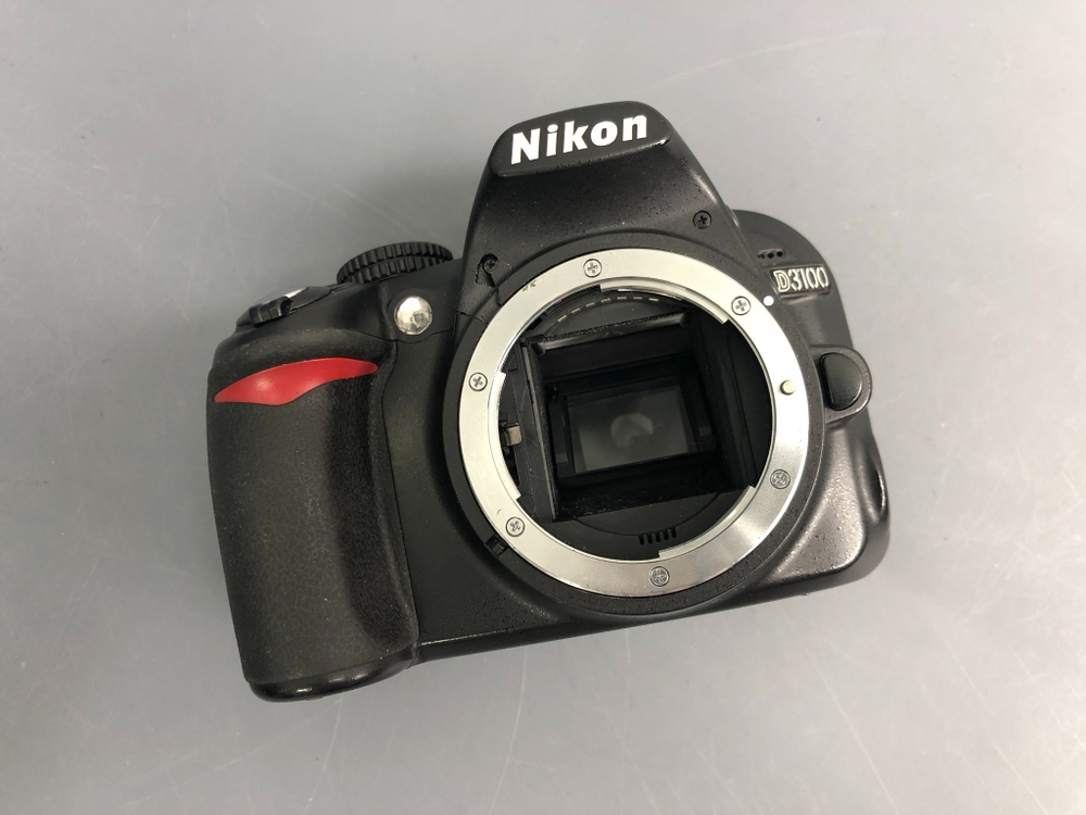 Nikon D3100