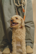 Ошейник "Пони-узелкони" Бежево-рыжий