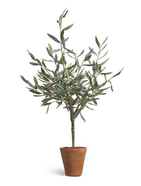 Олива Элегант (серия Prime) в керамическом кашпо