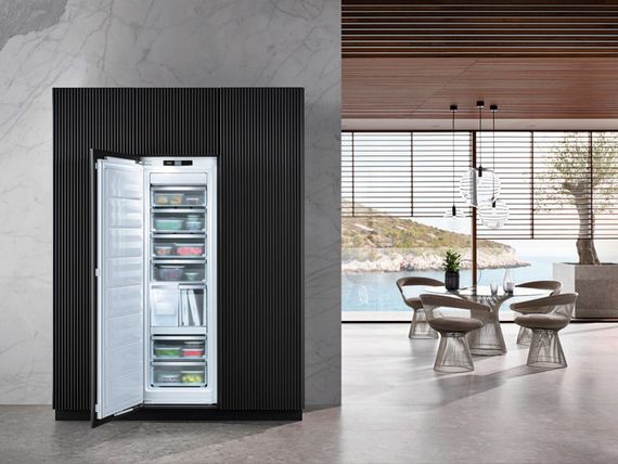 Морозильник Miele FNS 7774 D