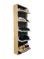 Обувница Айронори ЛАЙТ 5 МП (Дуб Вотан / Дуб Вотан)