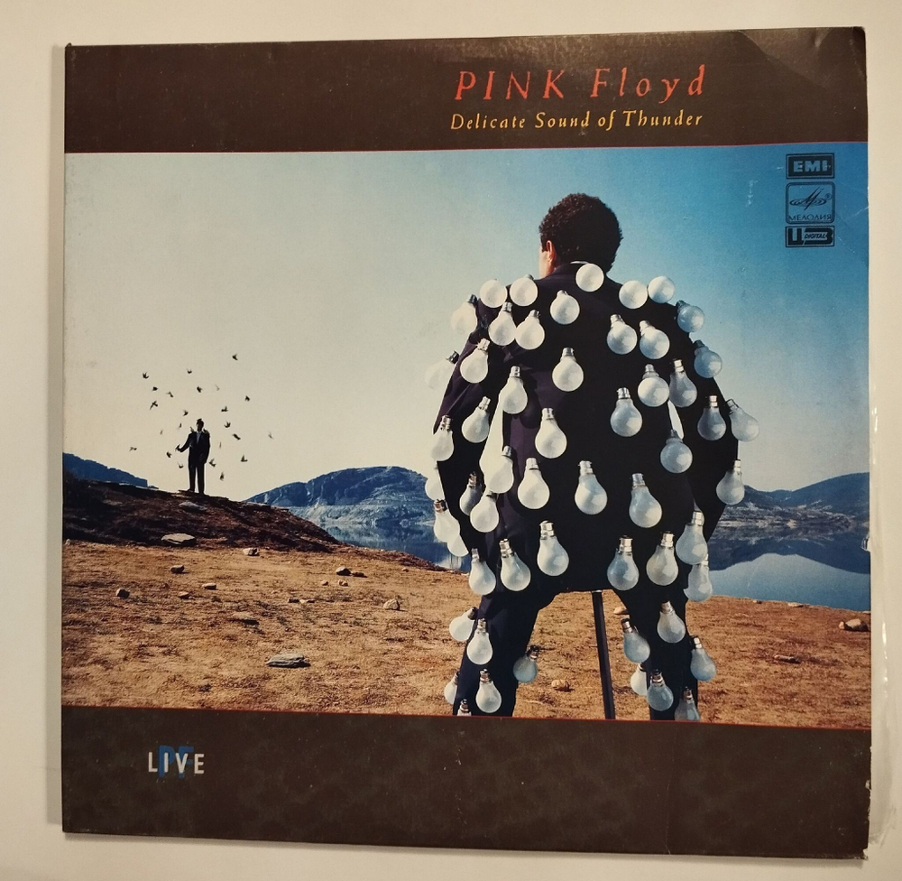 Винтажная виниловая пластинка LP Pink Floyd Delicate Sound Of Thunder (СССР 1989)