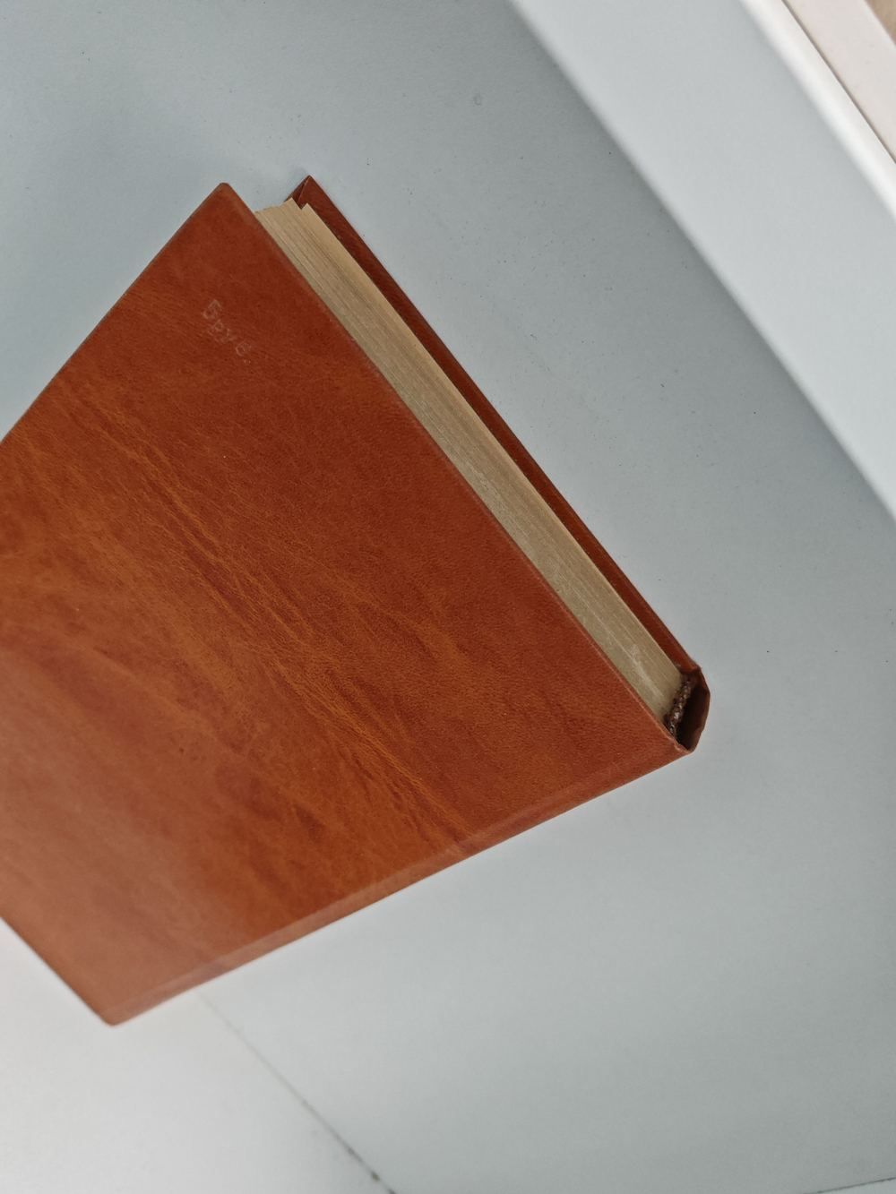 Логово горностаев. Принудительное поселение