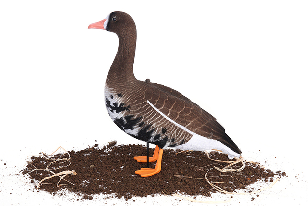 Белолобый гусь Softplast 3D ЖИВОЕ ПЕРО мод. BS-3D-UV