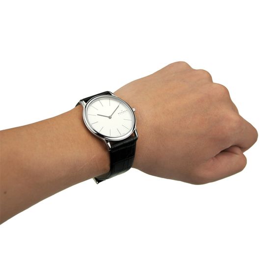 Наручные часы Skagen 858XLSLC