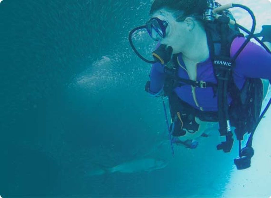 Носки в подарок