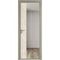 Алюминиевая дверь 7AG никель матовый остеклённая со вставкой