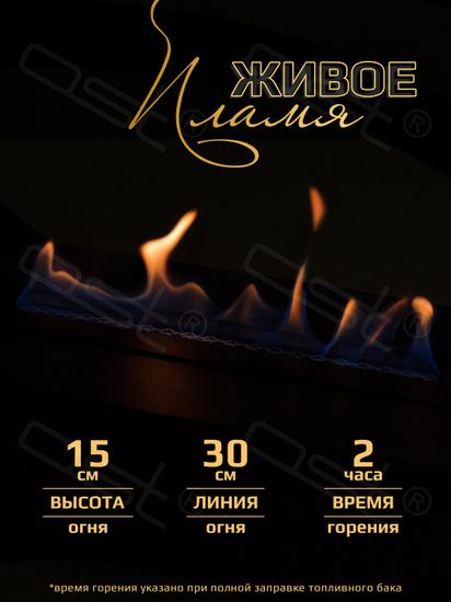 Биокамин овальный большой "Ellipse"