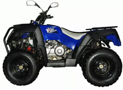 Квадроцикл ADLY STANDART ATV320U 4WD