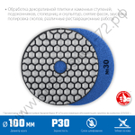 ЗУБР АГШК 100 мм, №30, сухое шлифование, Алмазный гибкий шлифовальный круг, Профессионал (29868-030)