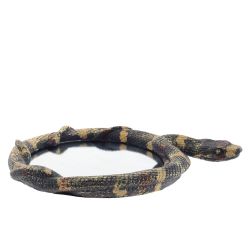 GAEM Зеркало "Змея", L18 W3 H24 см