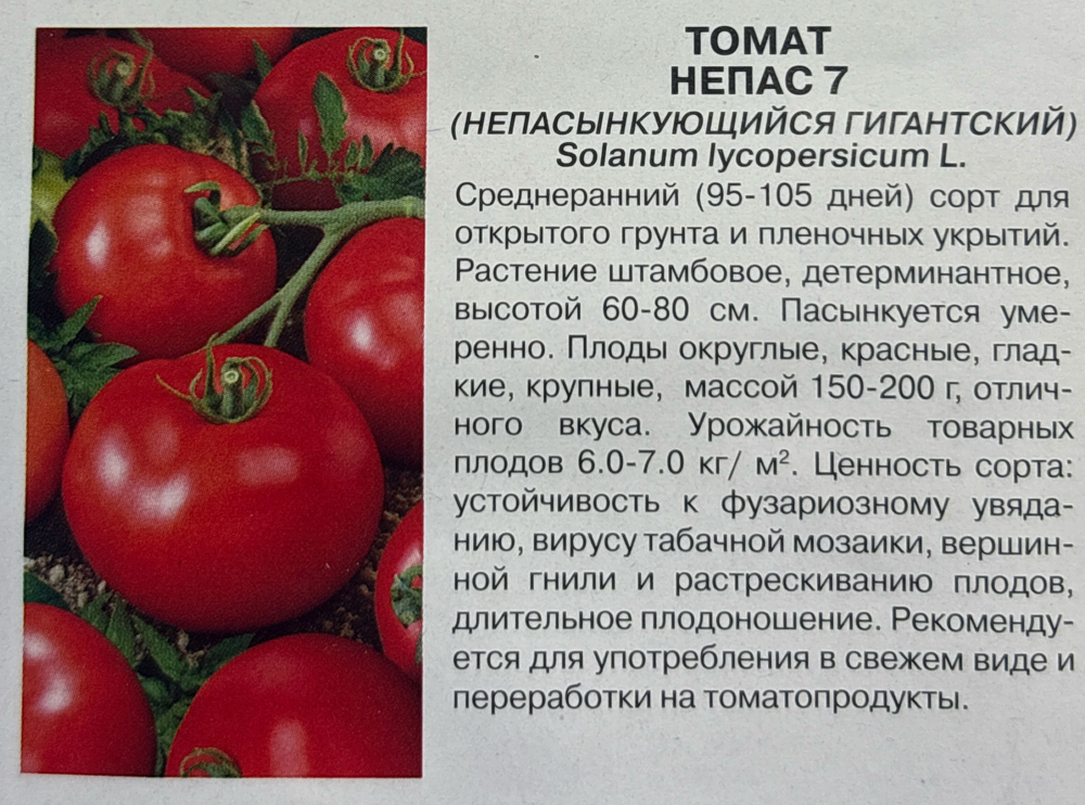 Томат Непас 7 Непасынкующийся Гигантский 0,1 г СМТ-217