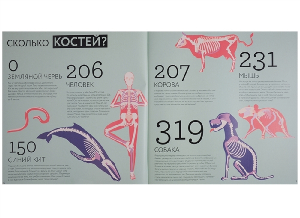 Я считаю всё