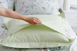 Постельное белье СайлиД BR-013 сатин