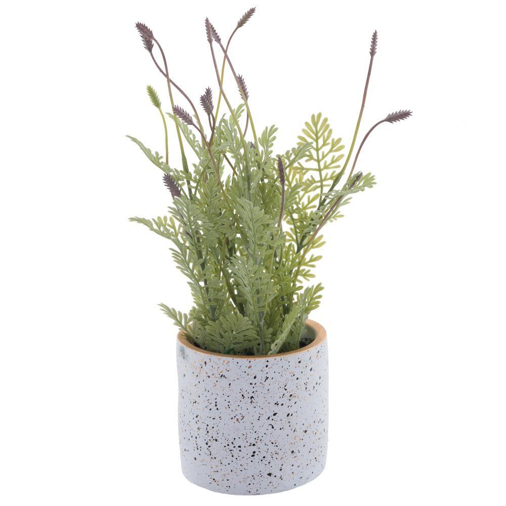 GAEM Цветочная композиция, L19 W19 H34 см, 2в.