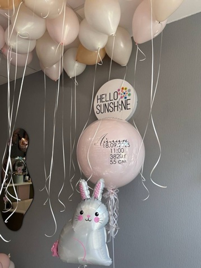 Набор шаров на выписку №21