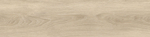 Керамогранит Baltic_GT Светло-бежевый 19,8x80 GT208021207MСR