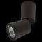 Спот Lightstar Rotonda 214457
