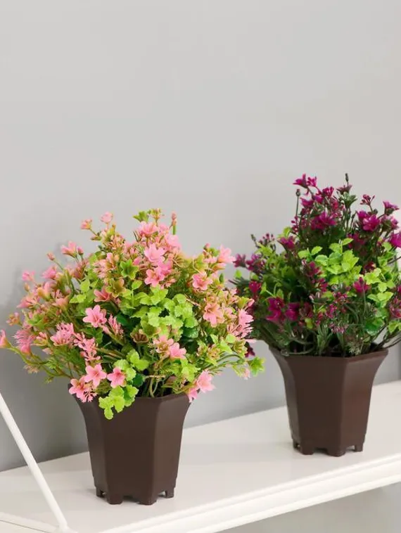 Бонсай в горшке &quot;Цветочная поляна&quot; 9*19 см, микс