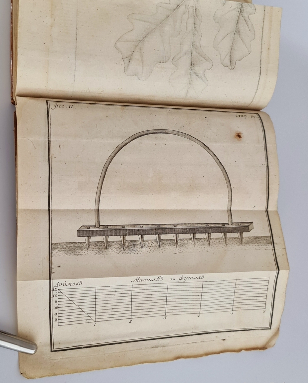 "Описание естественного состояния растущих в северных российских странах лесов с различными примечаниями и наставлениями"  Ф.Г.Фокель. 1766 г.