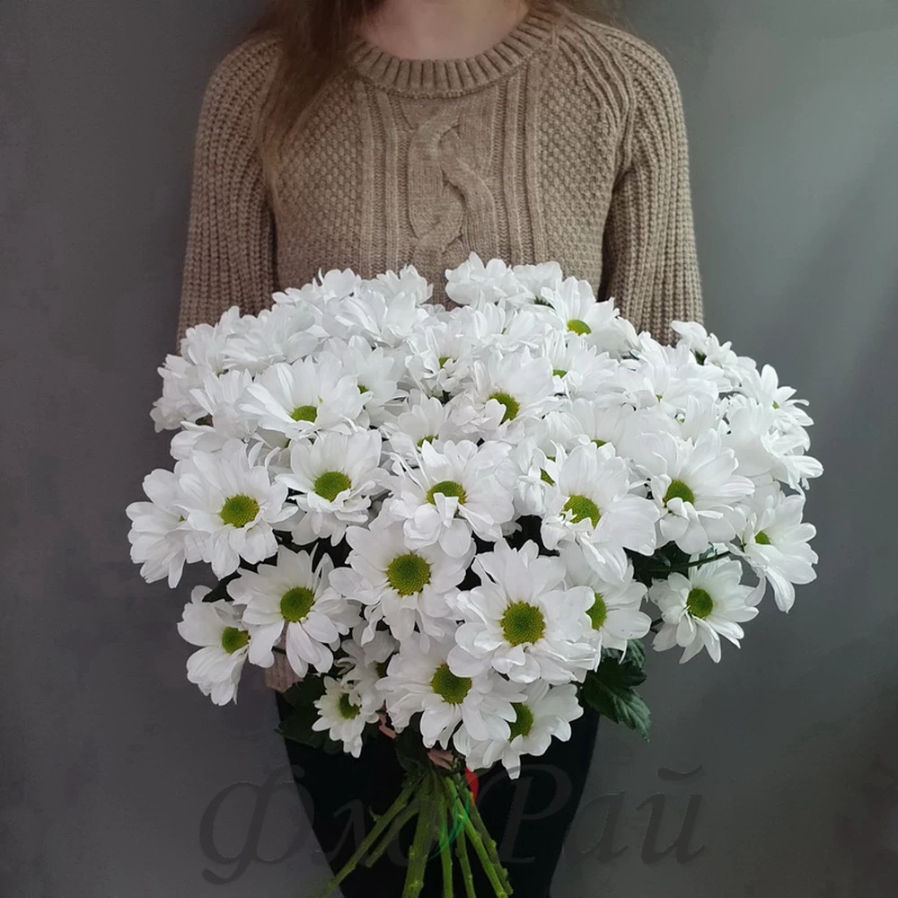 Хризантема кустовая