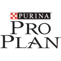 Pro Plan