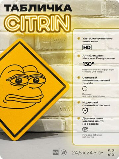 Табличка мем "Лягушка Пепе" шуточная прикольная на дверь и стену, для офиса и дома, декоративный знак, 24,5х24,5 см, пластиковая, Айдентика Технолоджи