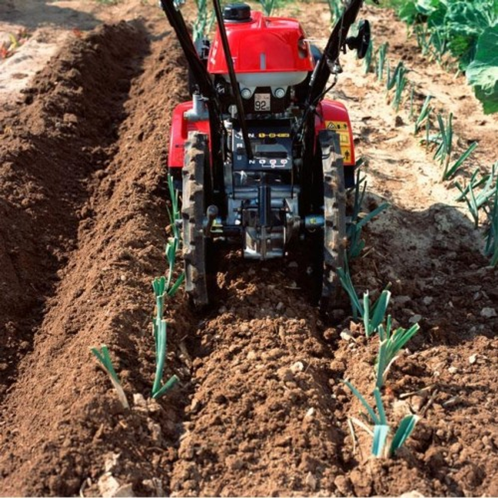 Культиватор HONDA FF 300 K1 DET с реверсом FF300K1DET2